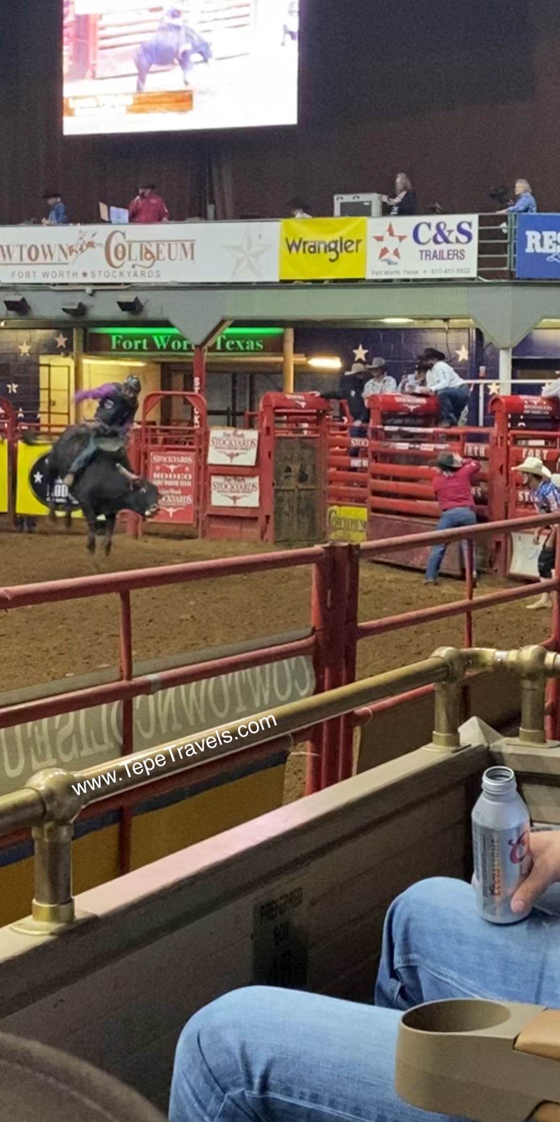 This Was our First Rodeo: Fort Worth Stockyards Coliseum Rodeo – Tepe  Travels